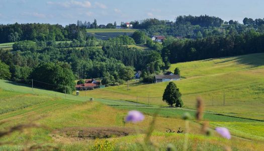 Landschaft